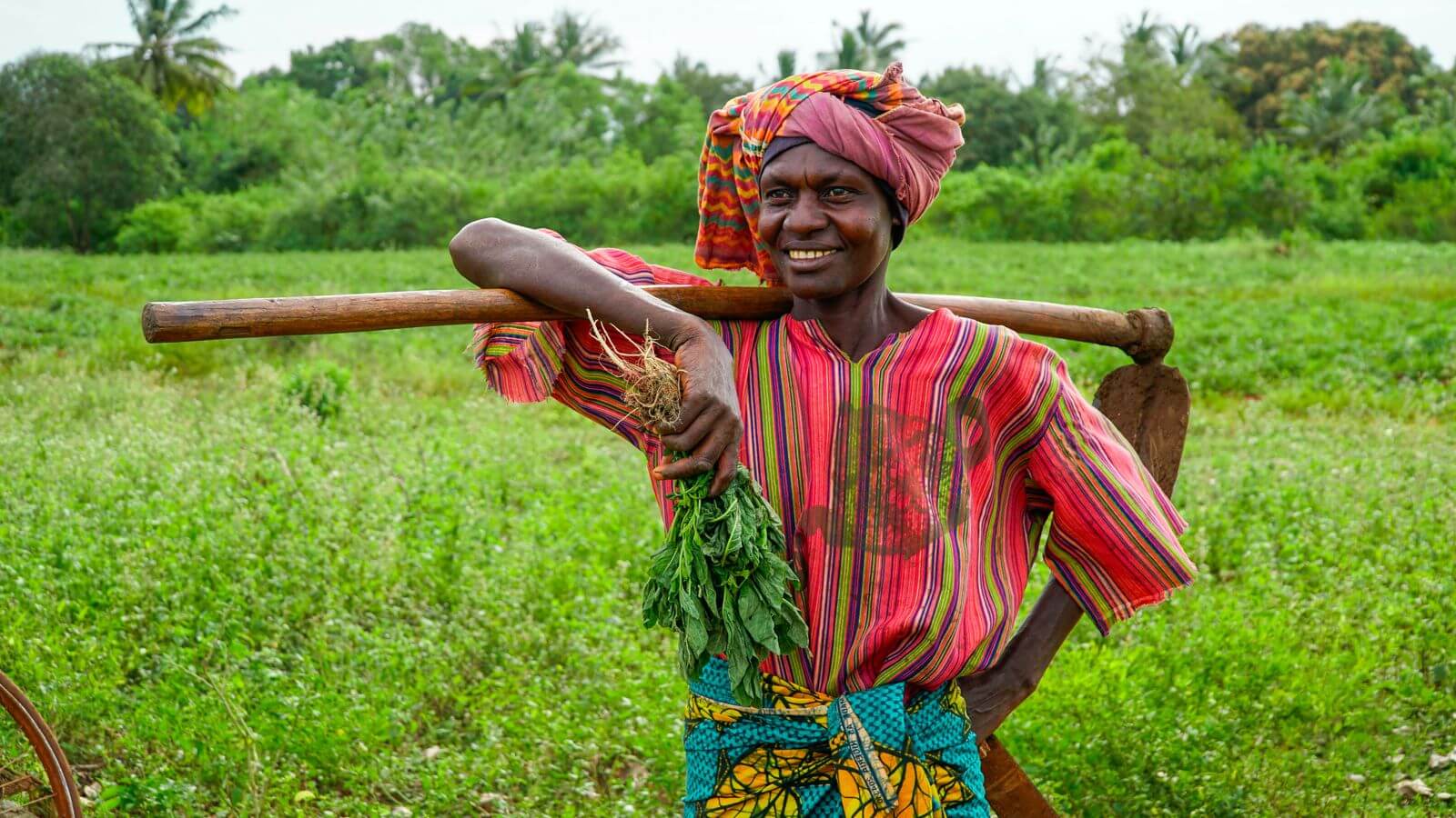 Sustainable Agriculture Program